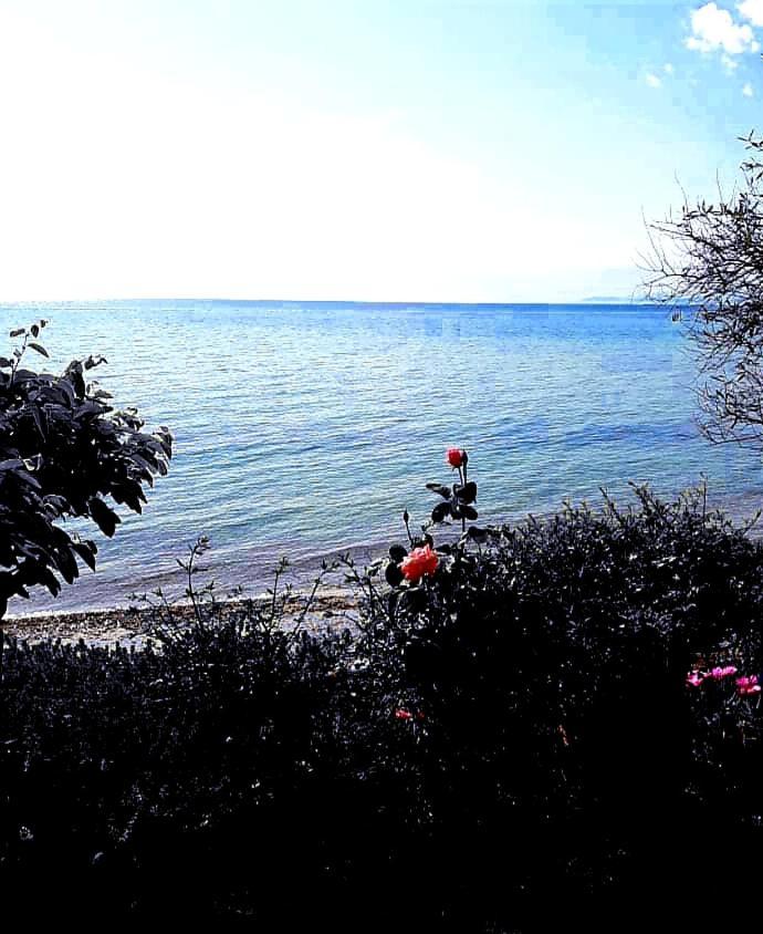 Mare Nostrum Neos Marmaras Buitenkant foto